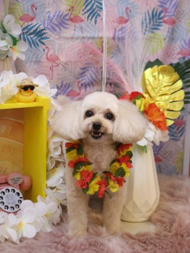 20250801リコちゃん