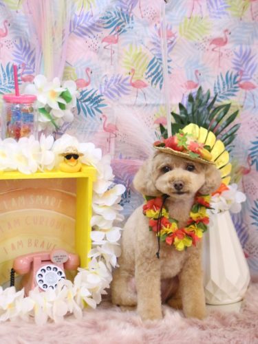 20250801めるちゃん