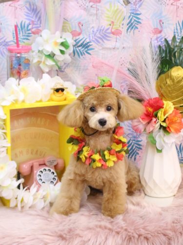 20250801むぎちゃん