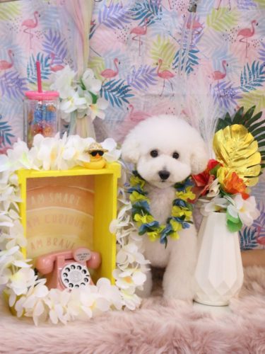 20250801ちくわくん