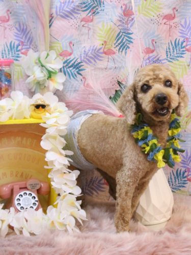 20250802ノンくん