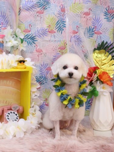 20250802ふぁるくん