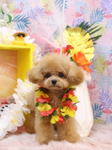 20250802あむちゃん