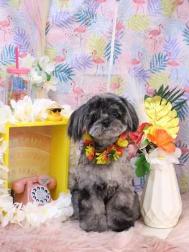 20250802うにちゃん 