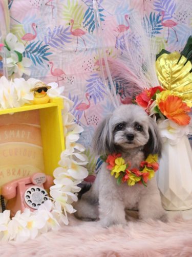 20250802べにちゃん