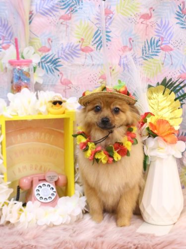 20250802ららちゃん