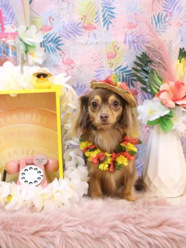 20250802いるちゃん