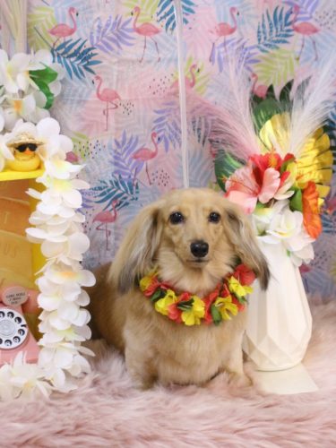 20250803モカちゃん