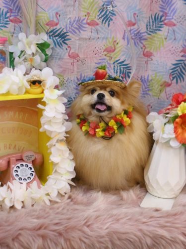 20250803梛都ちゃん