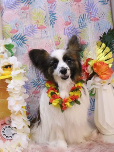 20250803マリーちゃん