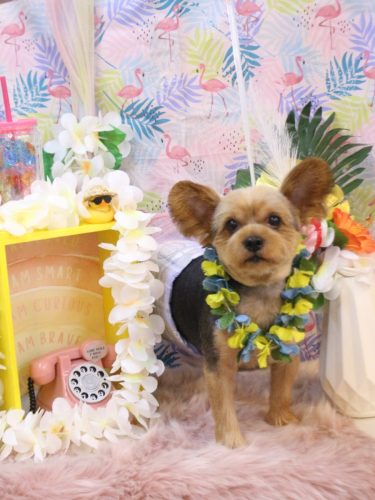 20250803ショーンくん