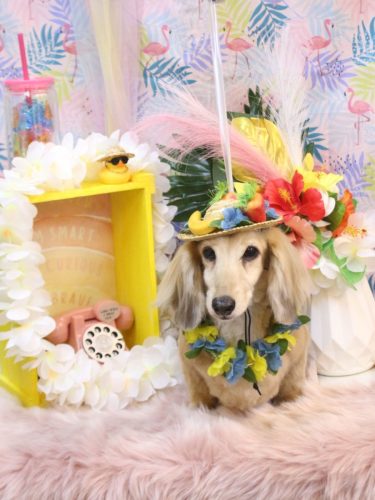 20250805そらくん