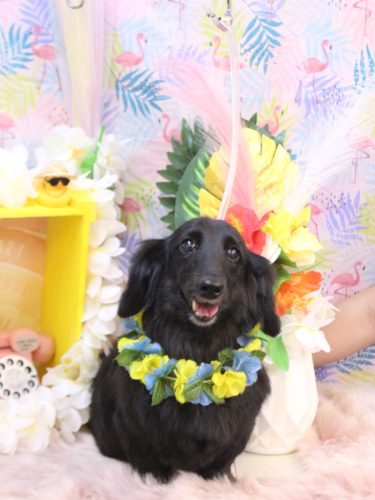 20250805りあんくん