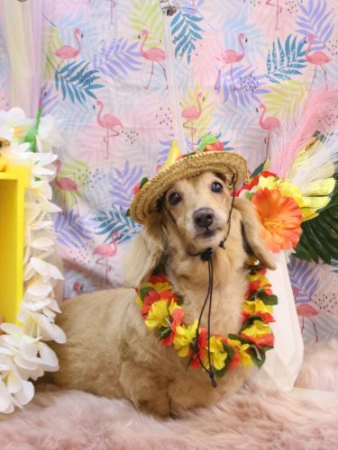 20250805イブちゃん