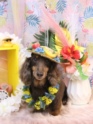 20250805ココアくん