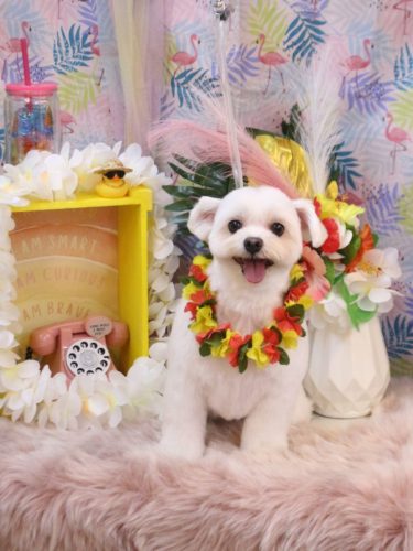 20250805うるちゃん