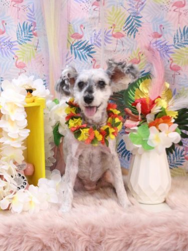 20250805来夢ちゃん