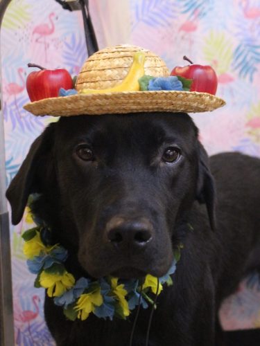 20250805文太くん