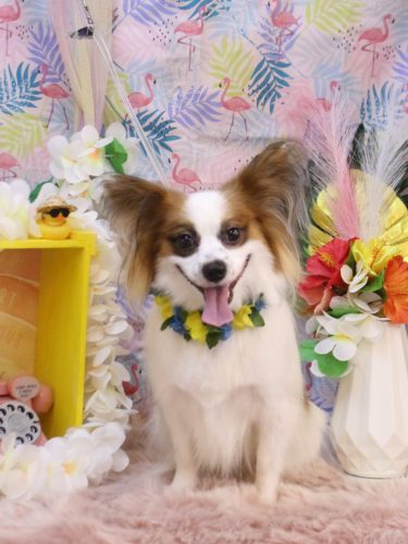 20250805ムーくん