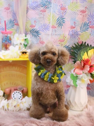 20250805くうくん