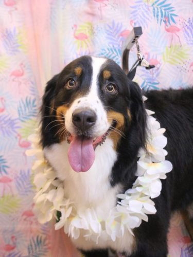 20250805ココちゃん