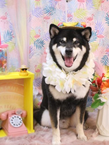 20250806ジローくん