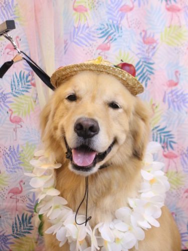 20250806くうたくん