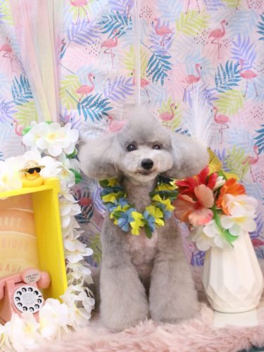 20250806宇宙くん