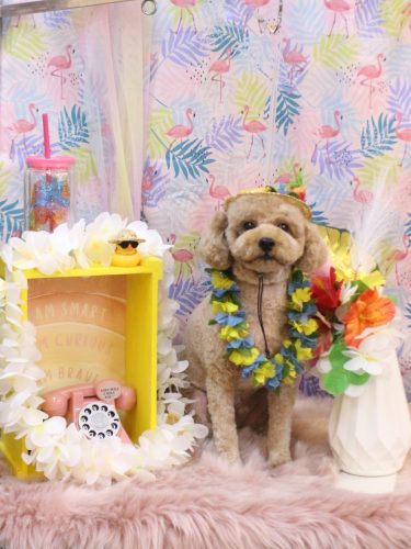 20250806モナカくん