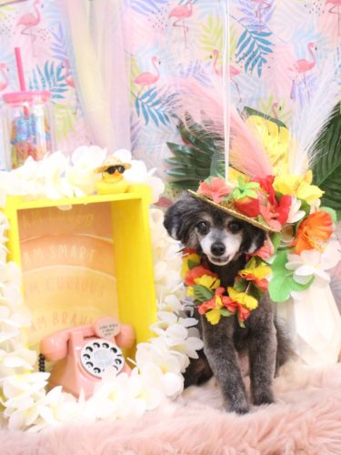 20250806ヒナちゃん