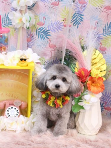 20250807そぽちゃん