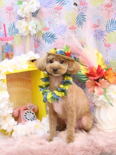 20250807サンくん