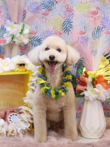 20250807ジョナくん