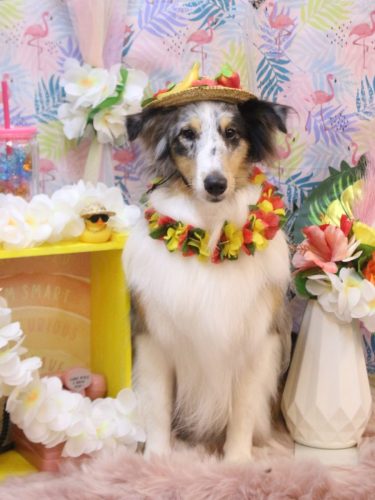 20250807ミルキーちゃん