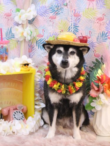 20250807ひめちゃん