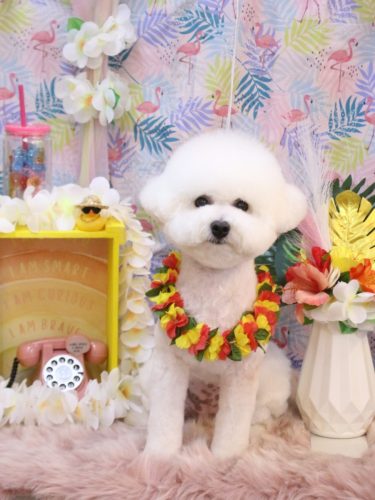 20250807姫葵ちゃん