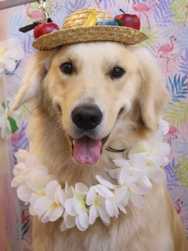 20250807レオくん