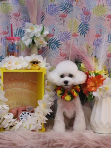 20250808ゆわちゃん