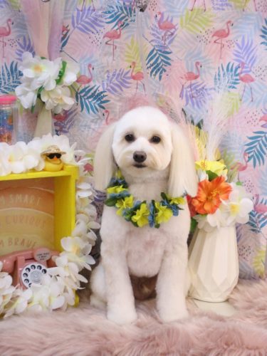 20250808風太郎くん