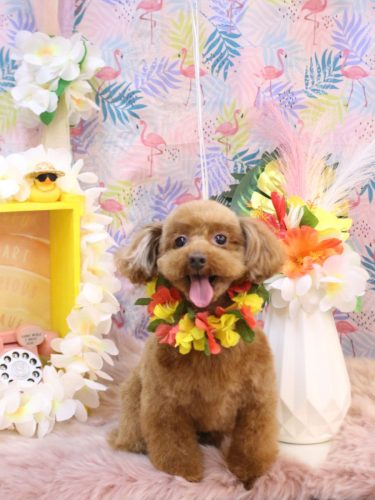 20250808永遠ちゃん