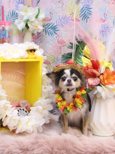 20250808ひめちゃん