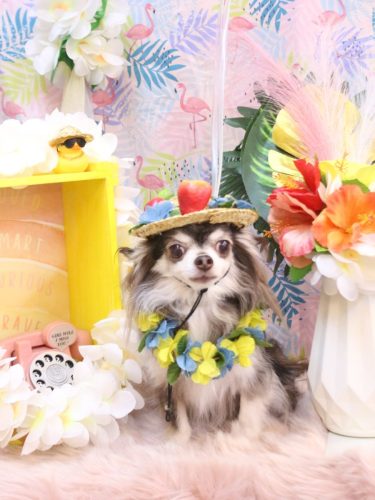 20250808空太くん