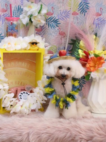 20250808チュッチュくん