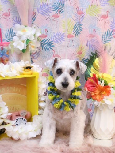 20250809ボルトくん