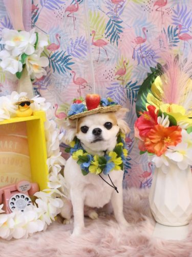 20250809くうくん