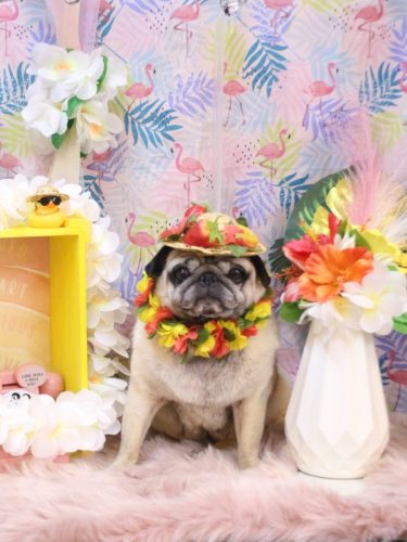 20250809くりこちゃん