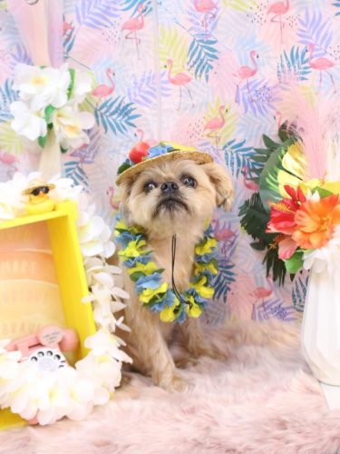 20250810ムーくん