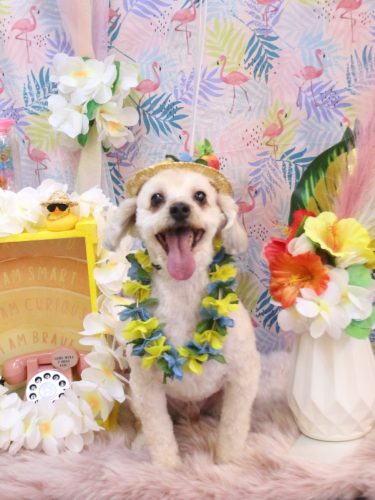 20250810ペカくん