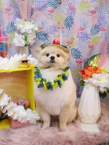 20250810パンくん