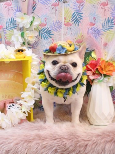 20250810だいずくん